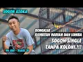 Download Lagu Rawatan Harian \u0026 Lomba Sogon Single Tanpa Koloni