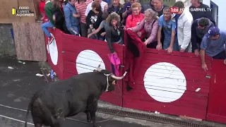 ابشع اصابات مصارعى الثيران Wrestling Bulls 