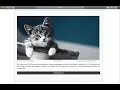 Firebase Web Retrieve Image Firebase Web Retrieve Data - Firebase Storage on the Web Tutorial 12