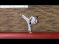 15. HYONG - UL-JI (langsam) - Taekwondo Form