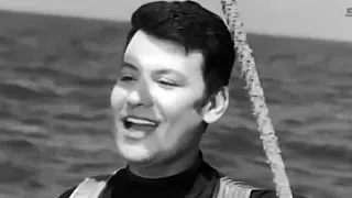 طاير يا هوى    محمد رشدي دندنها