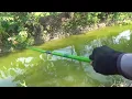 Download Lagu Edan....! Pemancing kalang kabut di hajar babon penghuni sungai😱