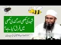 Download Lagu (Best) Maulana Tariq Jameel Latest Bayan about Diffrence Between Honey Been \u0026 Fly | 7th Oct 2017