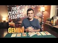 Gemini - Their current feelings for you right now