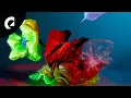 Download Lagu Giants' Nest - Sunflower (Royalty Free Music)