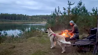 Bushcraft Cooking in the Forest | Beautiful Lake View