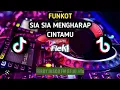 Download Lagu FUNKOT SIA SIA MENGHARAP CINTAMU  ||  by FERDY DISCO FM RF.DJ