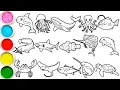 Draw Amazing Sea Animals in 20 Minutes - Orca Jellyfish Whale Octopus Anglerfish Shark others
