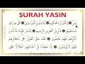 Download Lagu Surah Yasin (Yaseen) - Full With Arabic Text