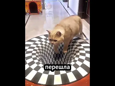 Кошка Попалась На Оптическую Иллюзию 😭❤️