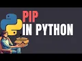 Story of PIP in Python Why Python Developers Can t Live Without PIP Comic Style Explanation