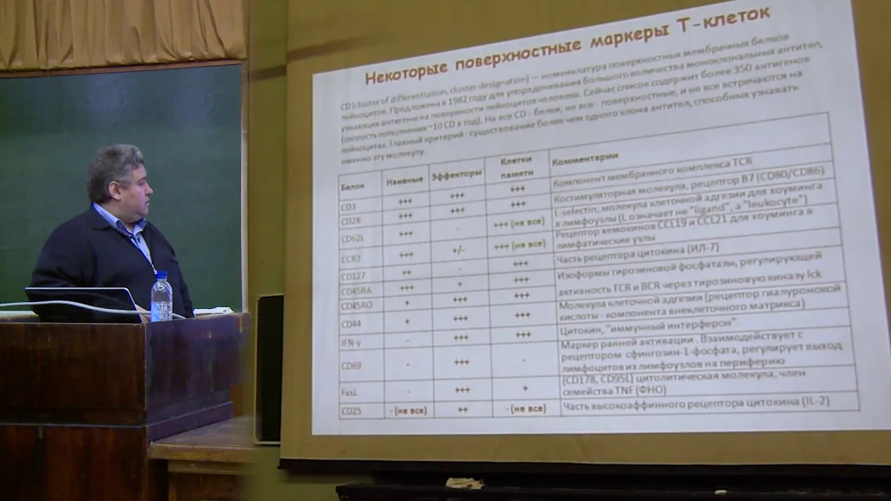 Купраш Д. В. - Иммунология - 4. Лимфатическая система