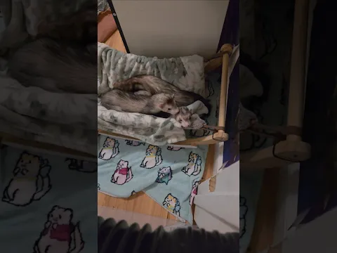 Guess VVaffles Is A Mother Now