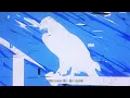 yama - ブルーバード (short ver) | いきものがかり meets