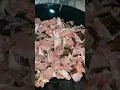 Download Lagu Gadis Dayak masak ripung rica-rica pedas satu meter lebih