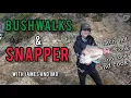 Download Lagu Grote snapper en zeevruchten BBQ on the Rocks