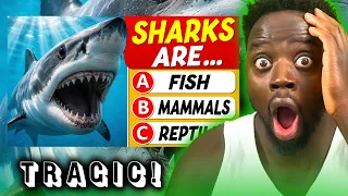 BACK TO SCHOOL?! Are You SMARTER Than a High School Student 🎓  General Knowledge Questions