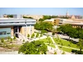 Soar to New Heights at UNT