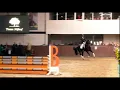 Download Lagu KWPN \u0026 HAN stallion TAMINIAU @ NIJHOF StallionShow 2019