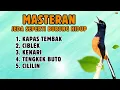 Download Lagu 🔴 VIRAL!! MASTERAN MALAM HARI UNTUK MURAI BATU GACOR JUARA  || 38.1