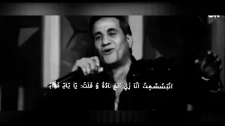 حاله واتس احمد شيبه و امير كرارة و روجينا و اشرف ذكي يا ليلة ما جاني الغالي ودق عليا الباب 