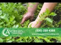 Andrews Lawn Care