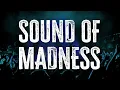 Download Lagu Shinedown - Sound of Madness / Lyrics