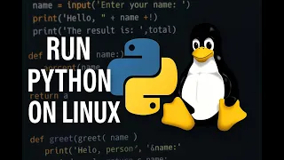 How to Run a Python Script on Linux Execute Python Scripts on NCX Tech