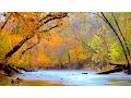 Download Lagu 4 hours of peaceful, relaxing, nature instrumental music by Tim Janis
