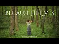 Because He Lives | Peaceful Instrumental Hymn - Taryn Harbridge