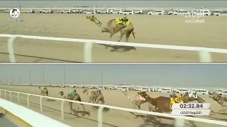 الشوط 3 شلفة الشايبة لـ محمد ناصر العوضي المنهالي 5 58 مهرجان أمير البلاد 2022 3 20 حقايق 