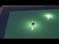 Braitenberg Vehicle Simulation