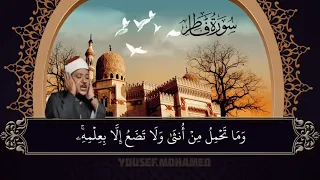 م ن ك ان ي ر يد ال ع ز ة ف ل ل ـه ال ع ز ة ج م يع ا 