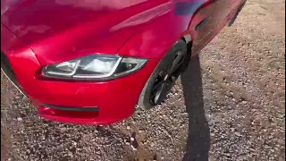                    دندنها