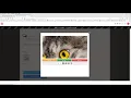 The Comments System Explained