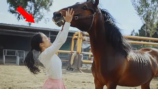 They call it the cursed horse! You won't believe what she found out…