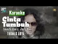 Lagu CINTA TUMBUH SAAT KAU JAUH - THOMAS ARYA - KARAOKE #karaoke #thomasarya #music #fulllirik