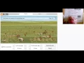 Prarie Ecosystem Gizmo Start