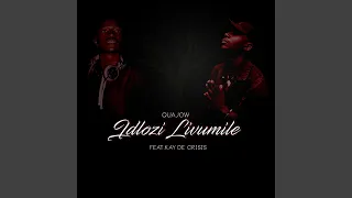 idlozi livumile radio edit 