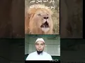 Download Lagu Allah hu Akbar. #share #islamic #shortvideo