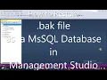 How to Restore An MsSQL Database Backup bak File as a Database in MsSQL Server Management Studio