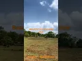 Download Lagu Beautiful scenery view property in mangaon #realestate #raigad #mangaon #agriculturelands #kokan