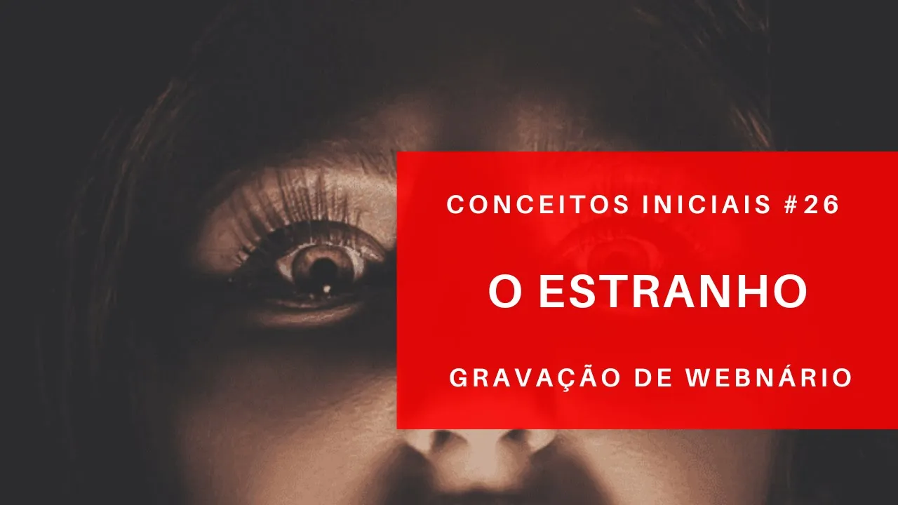 O Estranho - Conceitos Iniciais #26