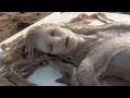 Download Lagu REAL Mermaid Sightings Around The World!