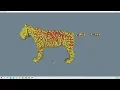 VTK Python Test - DensifyPoints