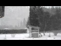 SNOW IN ENUMCLAW