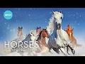 Download Lagu 3 HOURS DEEP RELAX |  WILD HORSES Running in the Snow | Animals Relaxing Nature Film + calming music