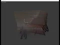 openFrameworks Webcam