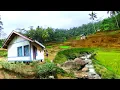 Download Lagu Petualangan Alam Ndeso,Kampung Indah Tengah Hutan yang Bikin iri Orang Kota,warganya ramah Pisan.