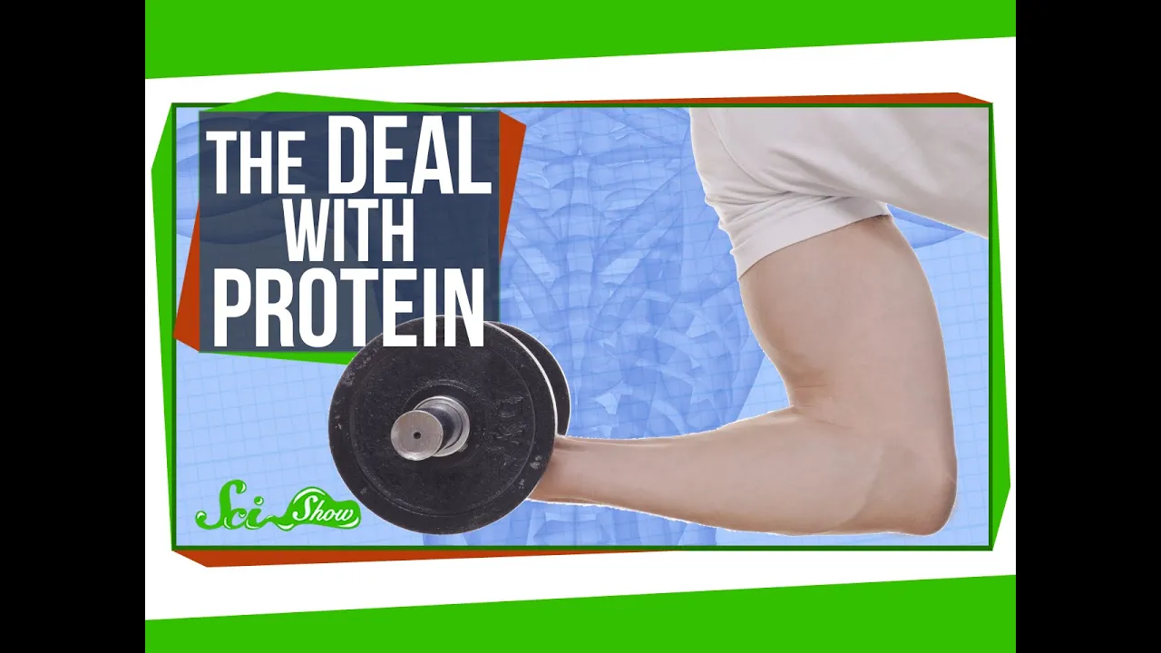 The Deal with Protein